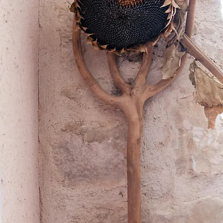 La Canada Real * Sigueruelo